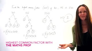 The Maths Prof Highest Common Factor HCF  Greatest Common Factor GCF of 140 126 amp 230 [upl. by Nolra]