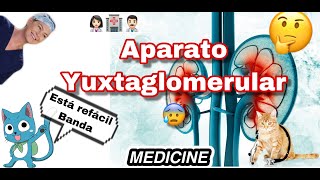 ¿Qué es el aparato Yuxtaglomerular [upl. by Schreck884]