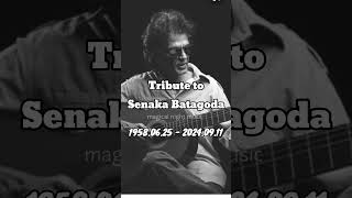 Tribute to senaka batagoda [upl. by Woehick30]