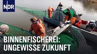 Die letzte Binnenfischerin  Die Nordreportage  NDR Doku [upl. by Luelle699]