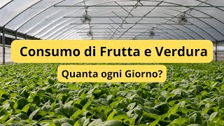 Quanta FRUTTA e VERDURA ogni Giorno GUIDA COMPLETA per il tuo Benessere [upl. by Nagram]