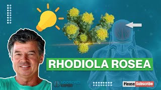 Rhodiola Rosea [upl. by Ullman]