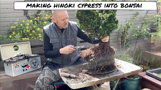 Styling a Hinoki Cypress into A Bonsai [upl. by Ayekehs]