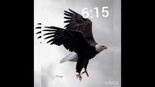 eiye jorjor happy 615 to all rugged airlord worldwide 💙❤️💛🦅🦅 entertainment edit explore [upl. by Treat]