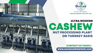 Ultra Modern Cashew Nut Processing Plant on Turnkey Basis Cashew Processing Plant oscarcashewtech [upl. by Iila576]