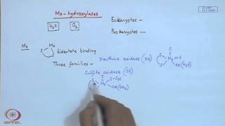 Mod22 Lec22 Molybdenum Enzymes  I [upl. by Dunseath]