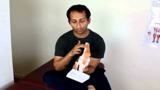 Patellar Tendonitis Massage Treatment  Manu Kalia  Video 141  TridoshaWellness [upl. by Allard759]