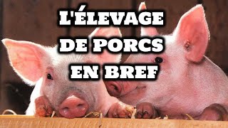 Comment élever des Cochons [upl. by Anaeel]