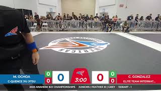 2023 Anaheim BJJ Championships  Mat 2 Saturday [upl. by Meeker]