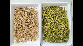 TOPSORT pistachio shell and kernel color sorter [upl. by Eesak724]