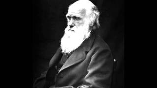 Darwin on religion [upl. by Christensen618]