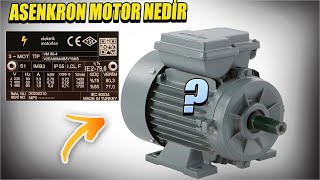 Asenkron Motor Nedir Asenkron Motor Çalışma Prensibi Asenkron Motor ÇeşitleriASENKRON MOTOR [upl. by Ojillek]