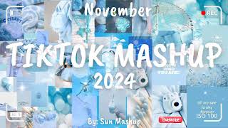 Tiktok Mashup November 💙2024💙 Not Clean [upl. by Noy782]