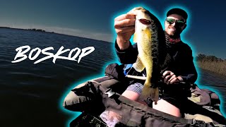 VISkunde  Boskop dam BASS FISHING [upl. by Nolyad712]