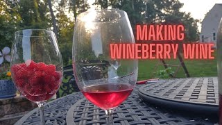 Making wineberry wine [upl. by Aihsenrad31]