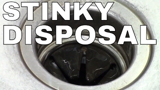 GARBAGE DISPOSAL HOW TO CLEAN  FAST Simple TRICK ICE [upl. by Audra969]