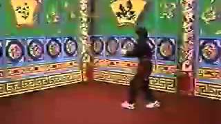 Kung Fu Theater Sifu Lacey Choy Lai Fut [upl. by Ynnot723]