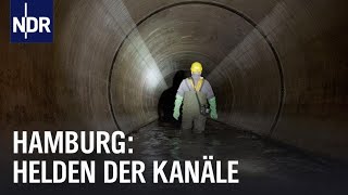 Hamburgs Unterwelt Arbeiten unter der Stadt  Die Nordreportage  NDR Doku [upl. by Yendroc]