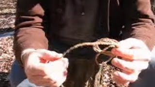 QUICK TIPS for Foraging Dogbane processing amp creating cordage with Dave McIntyre [upl. by Aicen504]