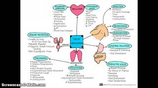 Post Op care 1 [upl. by Rotow]