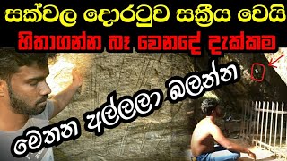 විශ්වයෙන් ආ ආලෝක සංඥාවක් ranmasu uyana sri lanka vlogs kundalini rawana holman [upl. by Meingolda267]