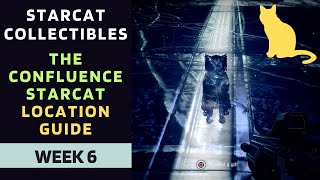 The Confluence Starcat Location Guide  The Confluence Starcat location  Destiny 2 [upl. by Odrick]