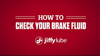 How To Check Your Brake Fluid [upl. by Macfarlane567]