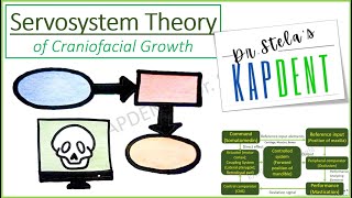 Servosystem Theory of Craniofacial Growth  Cybernetic theory  Orthodontics  Kapdent [upl. by Koslo]