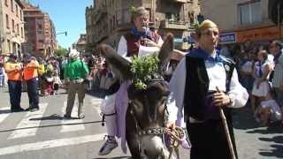 Cabalgata fiestas de Barbastro 2013 [upl. by Llyrpa]