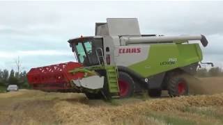 Harvest 2019 Claas Lexion 750 [upl. by Stillmann]