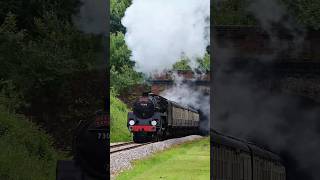 Steam Train 73082 Camelot emerges from Sharpthorne tunnel [upl. by Revart]