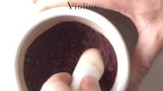 Making a pigment from cochineal [upl. by Nosreip]