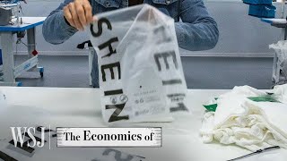 How Shein Built a 66B FastFashion Empire  WSJ The Economics Of [upl. by Atinram179]