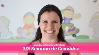 13ª Semana de gestação [upl. by Oringa451]