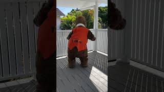 Humphrey B Bear does the viral Tyla Dance trending trendingshorts [upl. by Mihcaoj]