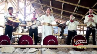 Querido cascarrabias mariachis bogota  Mariachi Juvenil Toritos [upl. by Newol260]