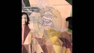 Gotye  Somebody That I Used To Know ft Kimbra Robotic Pirate Monkey Remix [upl. by Meyer]