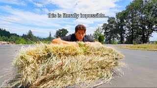 literally LOOKING FOR A NEEDLE in a HAYSTACK [upl. by Revert]