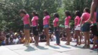 Atlanta Greek Picnic 2008 Stroll Off  Alpha Kappa Alpha AKA [upl. by Virgie]