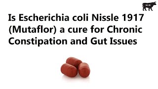 Is Escherichia coli Nissle 1917 Mutaflor a cure for Chronic Constipation and Gut Issues [upl. by Bruckner415]