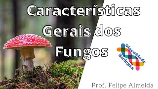 Características Gerais dos Fungos  Prof Felipe [upl. by Nnaid]