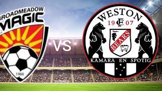 Broadmeadow Magic VS Weston Workers FC live match football 2024 Australia Northern New South Wala [upl. by Nyladnek]