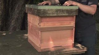 How to Make your Own Beehive [upl. by Fanni]