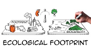 Ecological footprint Do we fit on our planet [upl. by Gillead]