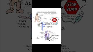 Transfusion reactions nclexreview nclex nclexexam [upl. by Yevre535]