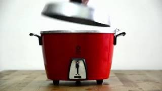 Tatung Rice Cooker  How to cook perfect rice easily and quickly [upl. by Murtha]