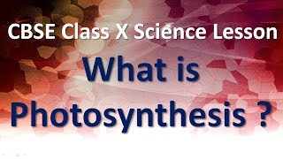 Photosynthesis  What is Photosynthesis   CBSE Class X Science Lesson [upl. by Duwalt]