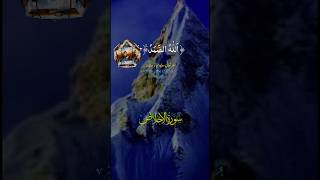 Tilawat Quran e pakshortstilawatquran trendingshorts trendingvideos [upl. by Kailey]