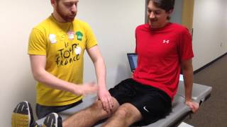 Clarke’s Sign Patellar Grind Test [upl. by Luthanen]