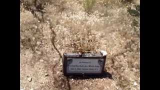 May 2013  Mattie Blaylock Earp  the Pinal Historic Cemetery [upl. by Marylou]